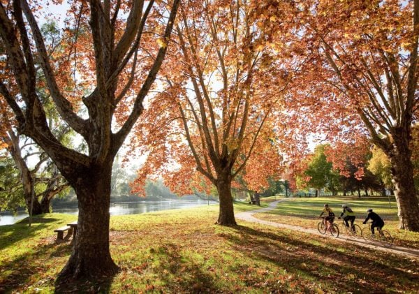 Lifestyle living near the NSW border Image