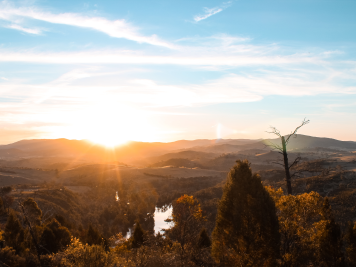 Lincoln Place Privacy Policy