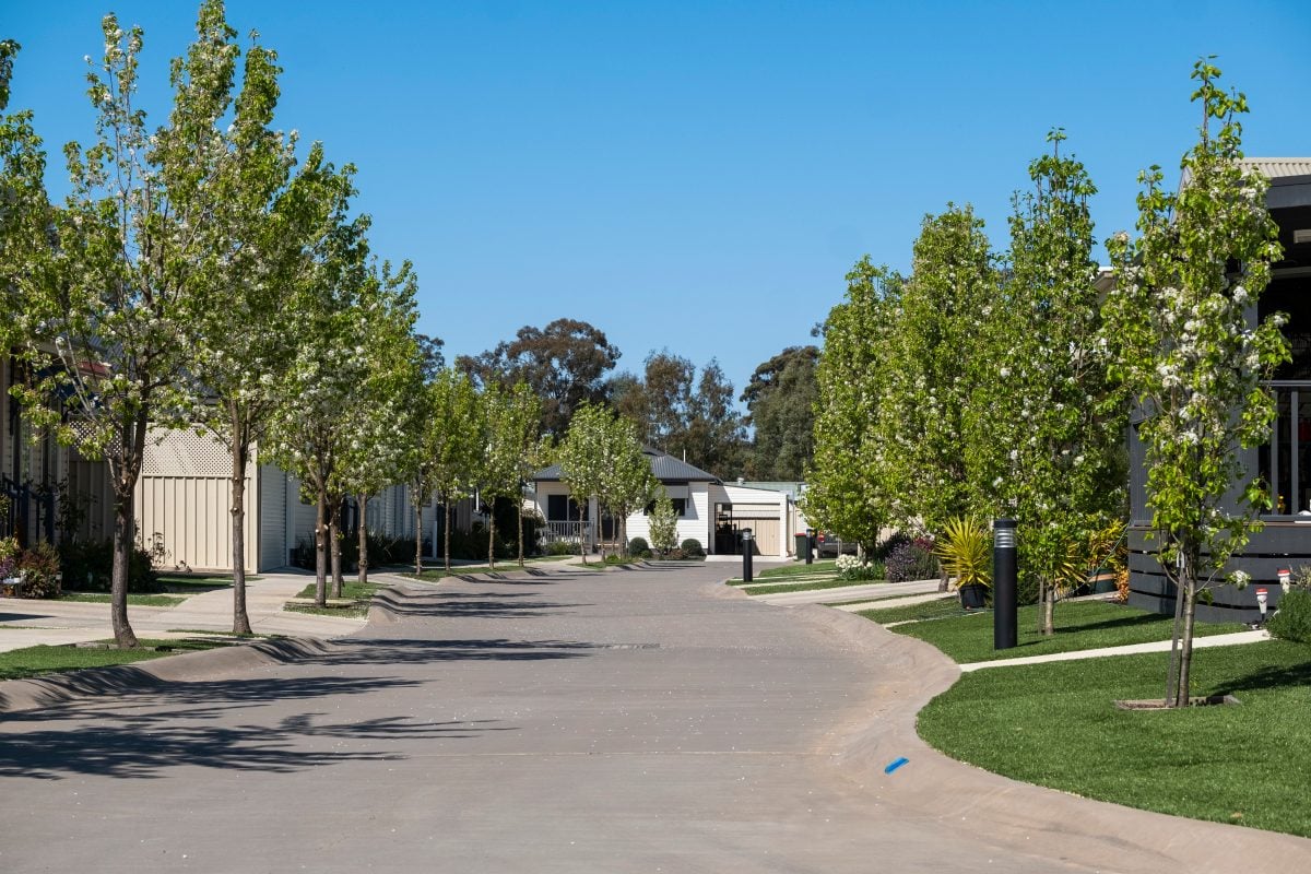A quiet suburban street with green lawns, newly planted trees lining both sides, and modern houses under a clear blue sky is open for viewing.