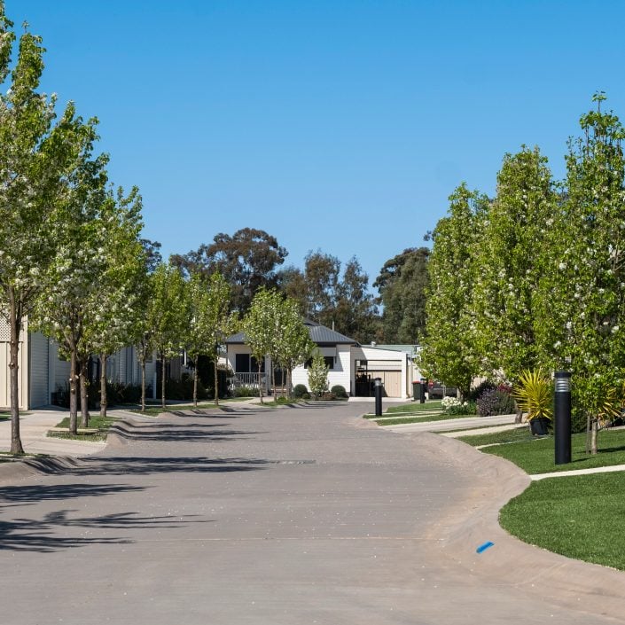 A quiet suburban street with green lawns, newly planted trees lining both sides, and modern houses under a clear blue sky is open for viewing.