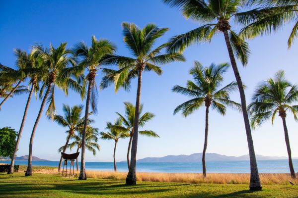 Townsville living in tropical North Queensland Image