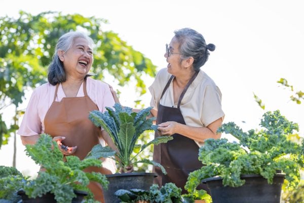 Winter Gardening Tips for a Healthier, Happier Garden
