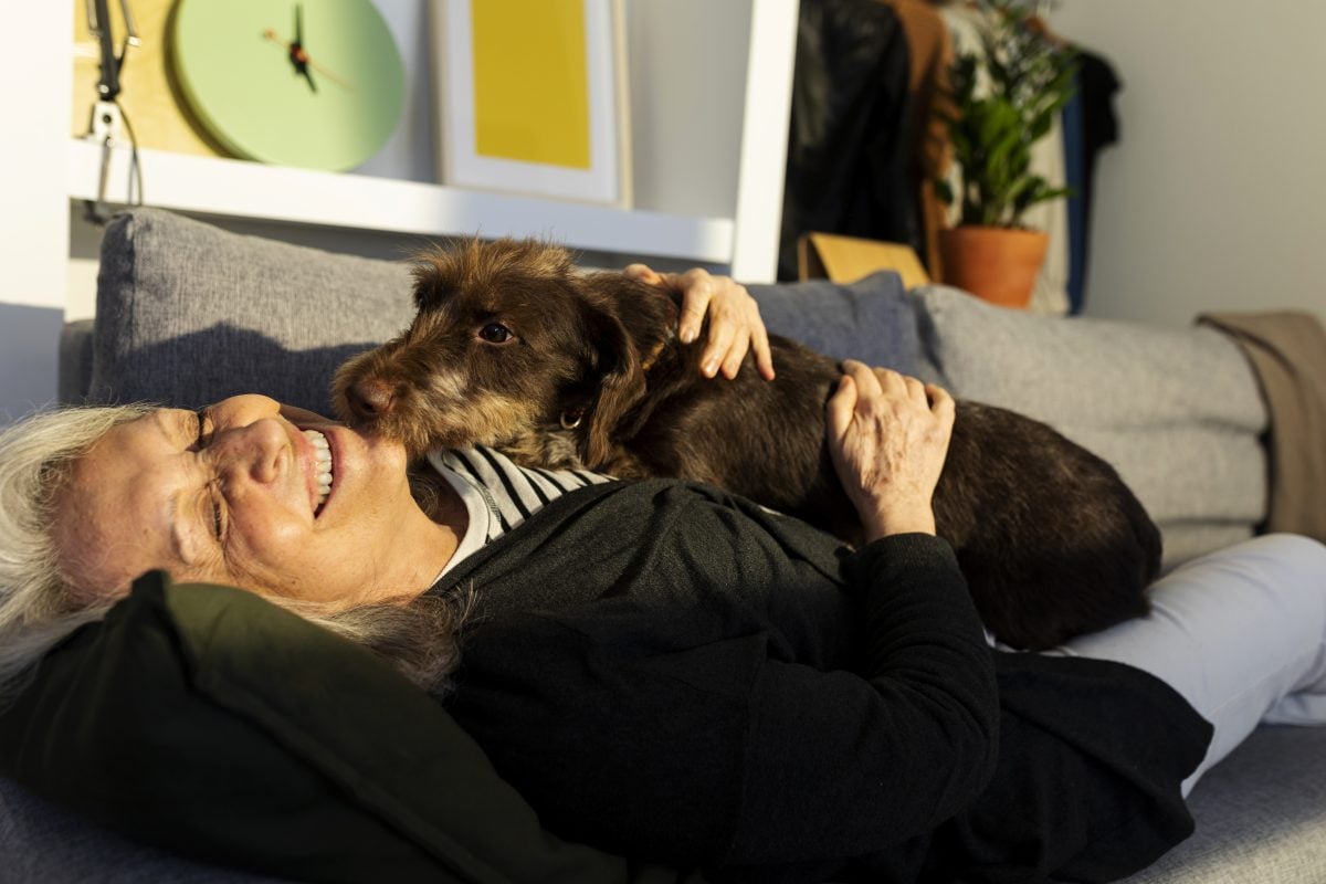 An older woman lies on a sofa, smiling joyfully as a brown dog nuzzles her face. Sunlight streams in, creating a warm and cosy lifestyle atmosphere in the living room.