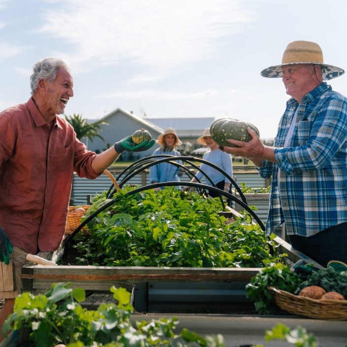 Two smiling older adults embrace a lifestyle of gardening as they stand by raised garden beds—one holding a pumpkin, the other a small vegetable—amid lush greenery and a farmhouse, dressed in sun hats and casual clothes.