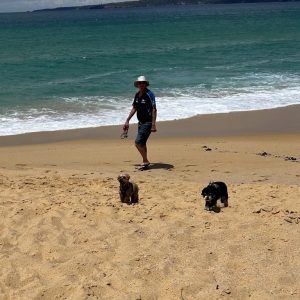 A man in a hat walks on a sandy beachside near the sea, holding dog leads, while two small dogs run ahead on the sand under a partly cloudy sky.