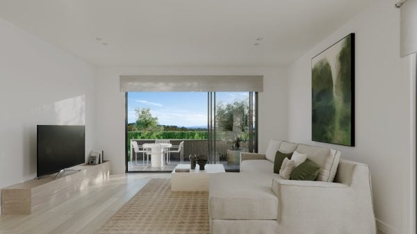 The Jacaranda Image 2